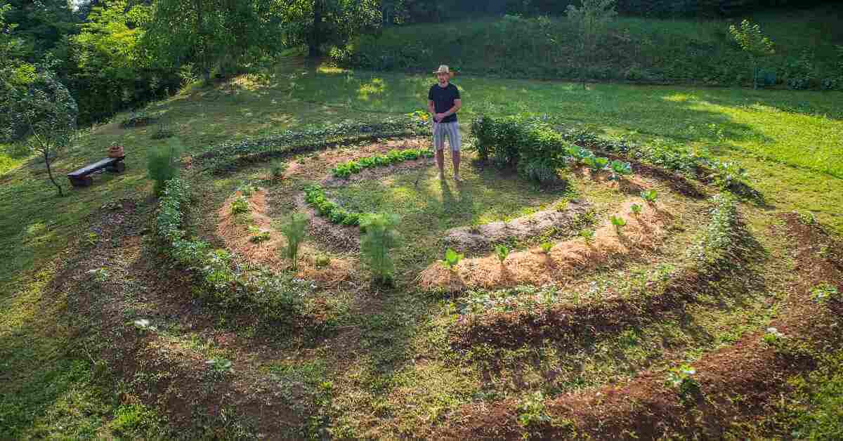 Permaculture