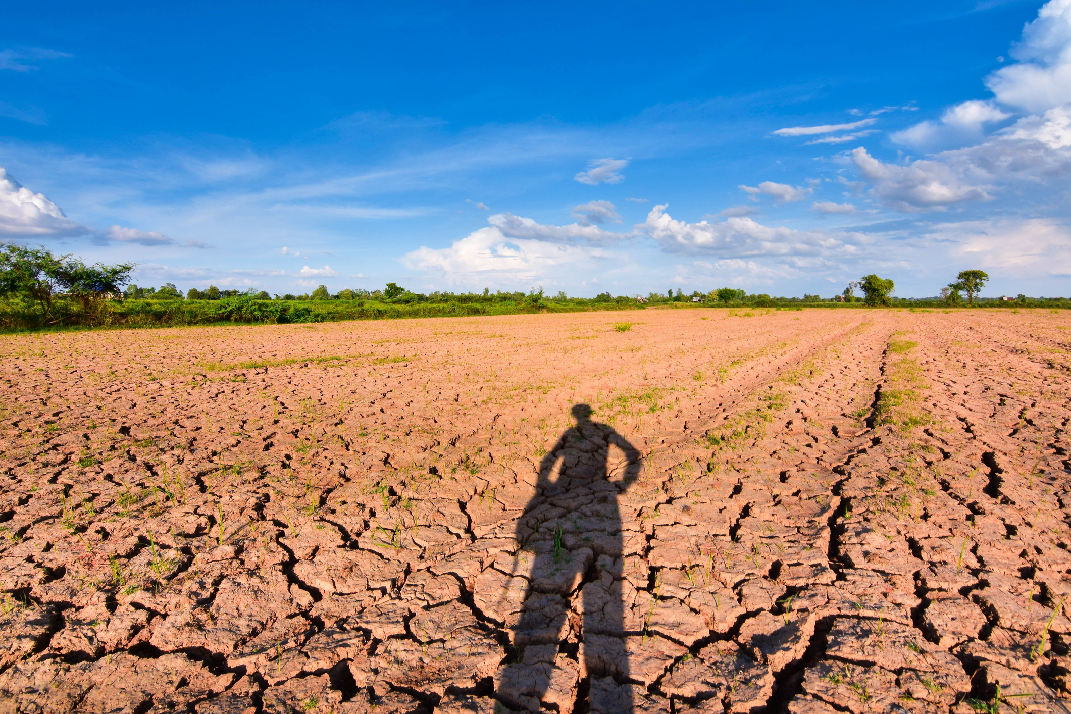 Climate volatility affecting food